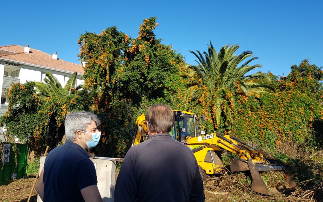 Comienzan las obras en la zona verde Jardín Quintana