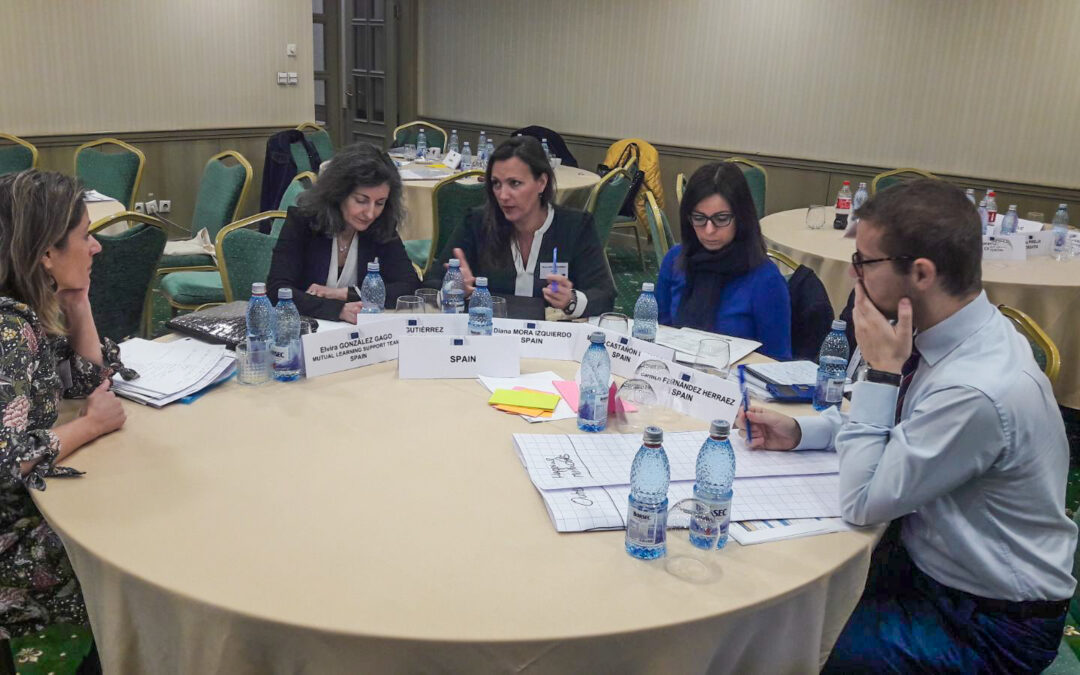Diana Morá asiste en Bucarest a la elaboración del Plan de Acción Nacional de Educación Permanente