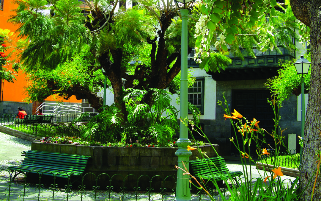 La Junta de Gobierno Local aprueba el convenio de mejora y acondicionamiento de las calles San Juan, Iriarte y Plaza Concejil