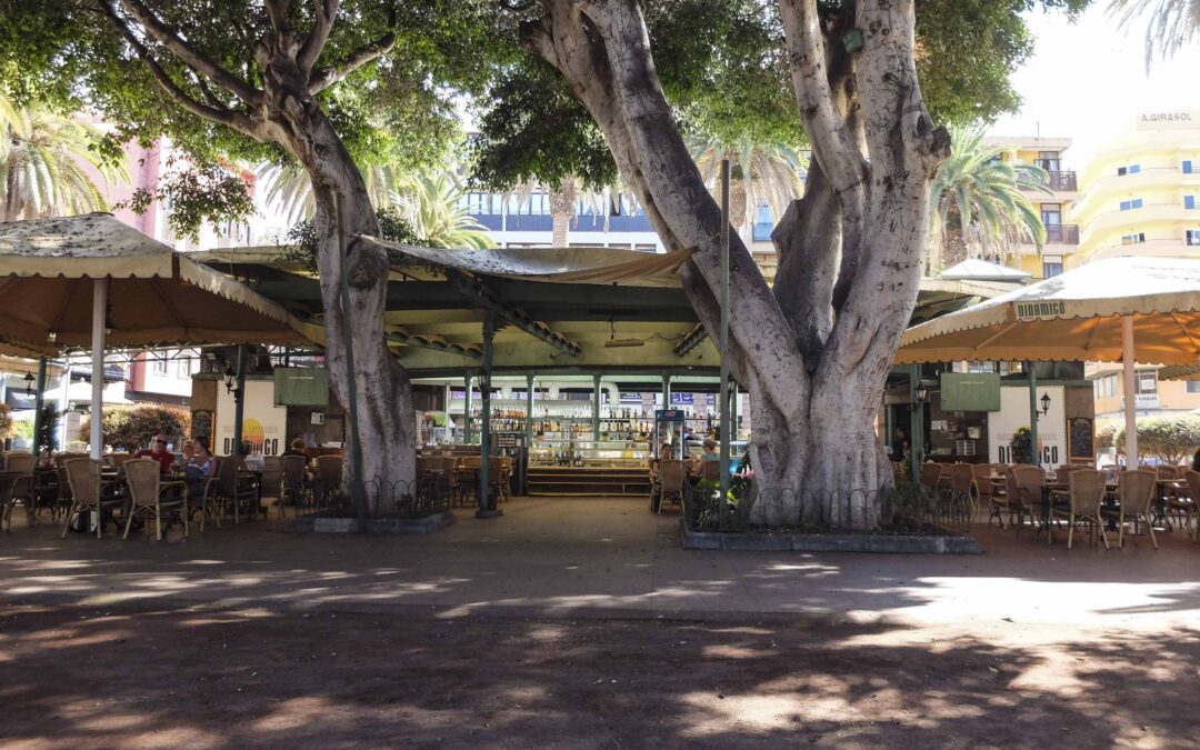 El Ayuntamiento portuense saca a licitación el Bar-Cafetería ‘El Dinámico’
