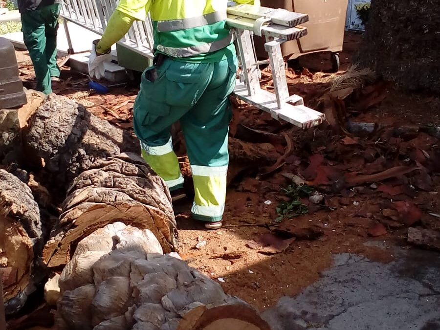 Obras de mejora del cementerio municipal de San Carlos y horario especial para Todos los Santos