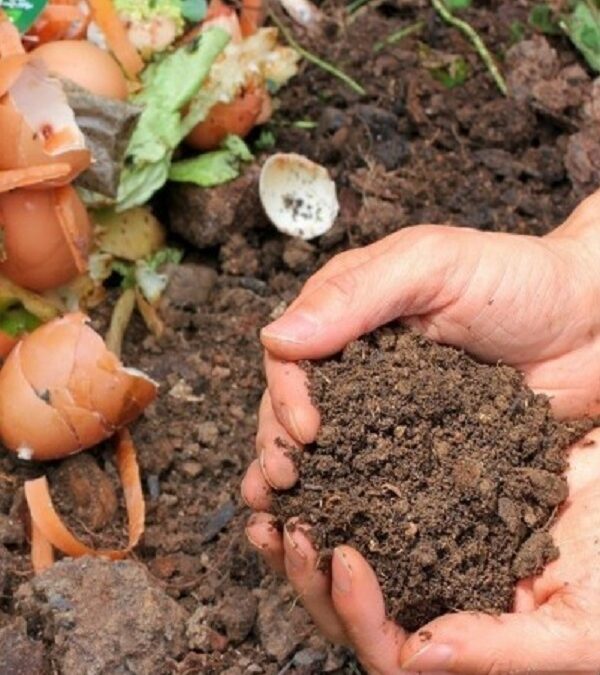 Puerto de la Cruz consigue financiación estatal para el compostaje de sus biorresiduos