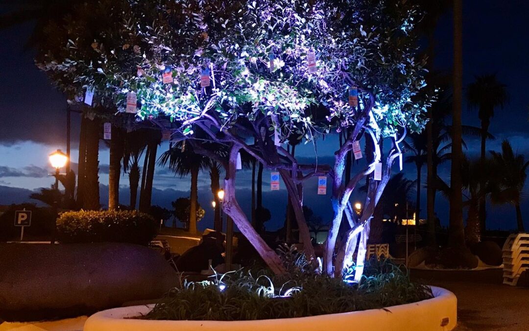 ‘Gracias César’, una iniciativa para compartir el legado de Manrique en Puerto de la Cruz