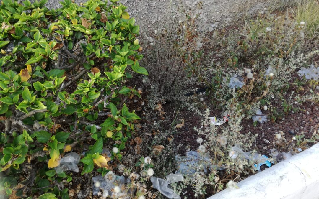 Puerto de la Cruz pide colaboración a la ciudadanía para hacer una gestión correcta de mascarillas y guantes usados