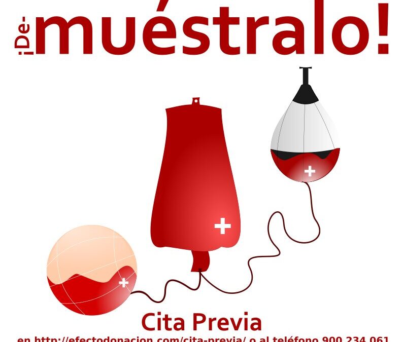 El ICHH y el Ayuntamiento habilitan una sala de donación de sangre en el pabellón municipal de deportes