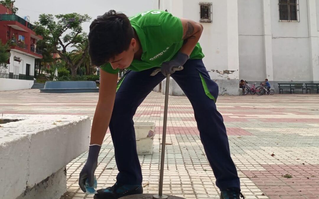 El área de Sanidad pone en marcha la campaña de control de plagas correspondiente al segundo semestre