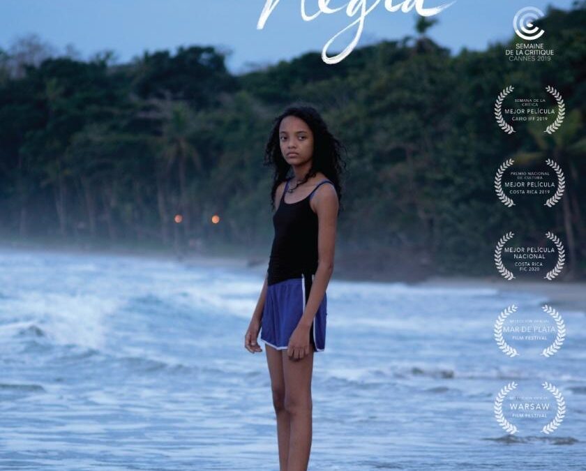 Periplo inicia su viaje con las proyecciones del Festival de Cine Transfronterizo de Puerto de la Cruz