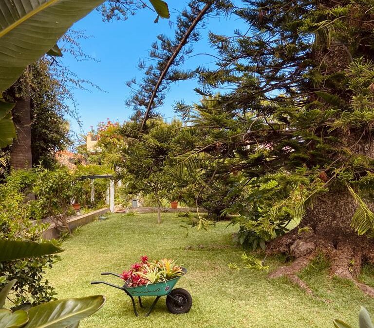 El videojuego Quimera presenta sus credenciales en el Festival Periplo de Puerto de la Cruz