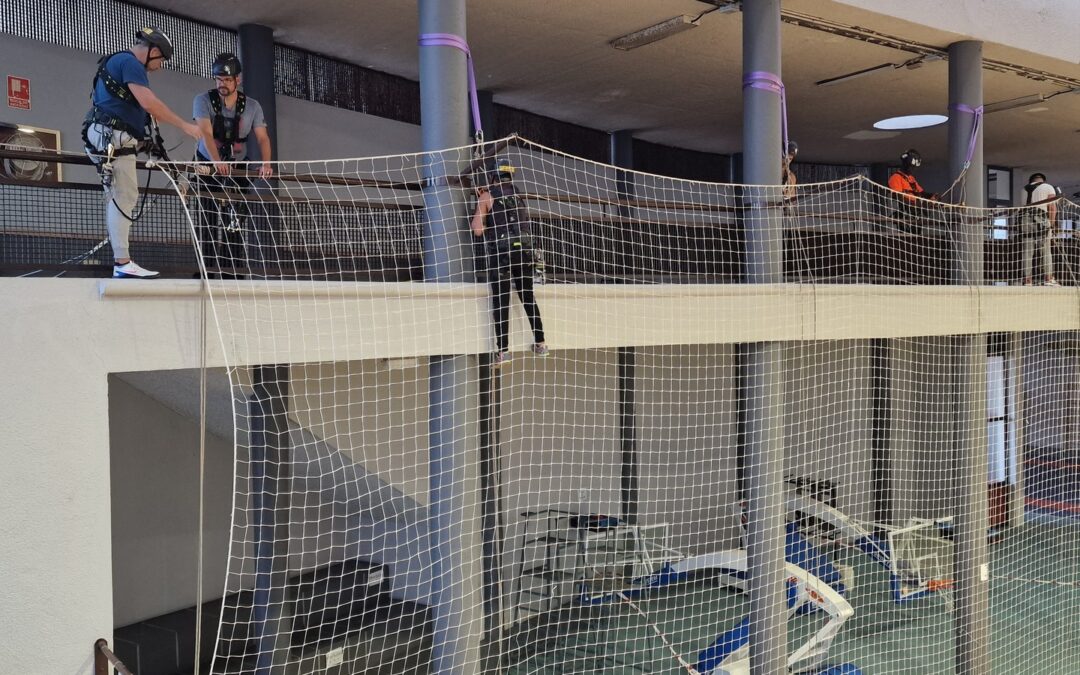 El Área de Empleo ofrece 318 plazas de formación