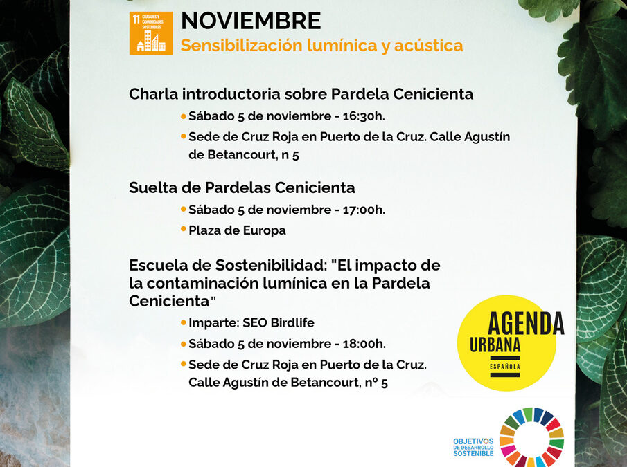 Proactivas se une a la campaña de la pardela cenicienta 2022