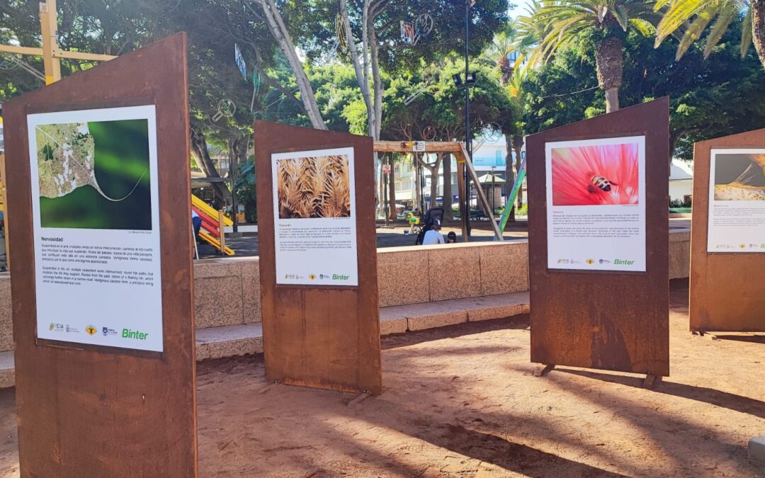 Puerto de la Cruz acoge la entrega de los premios de la VI edición del concurso de fotografía del Jardín Botánico