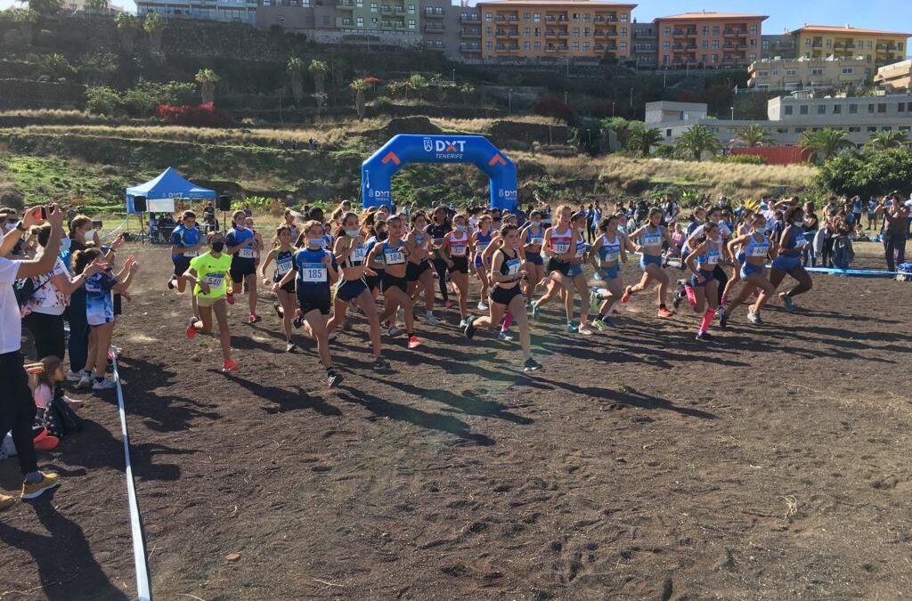 Más de 500 escolares participaron en la final de los XXXVI Juegos del Cabildo de Tenerife 