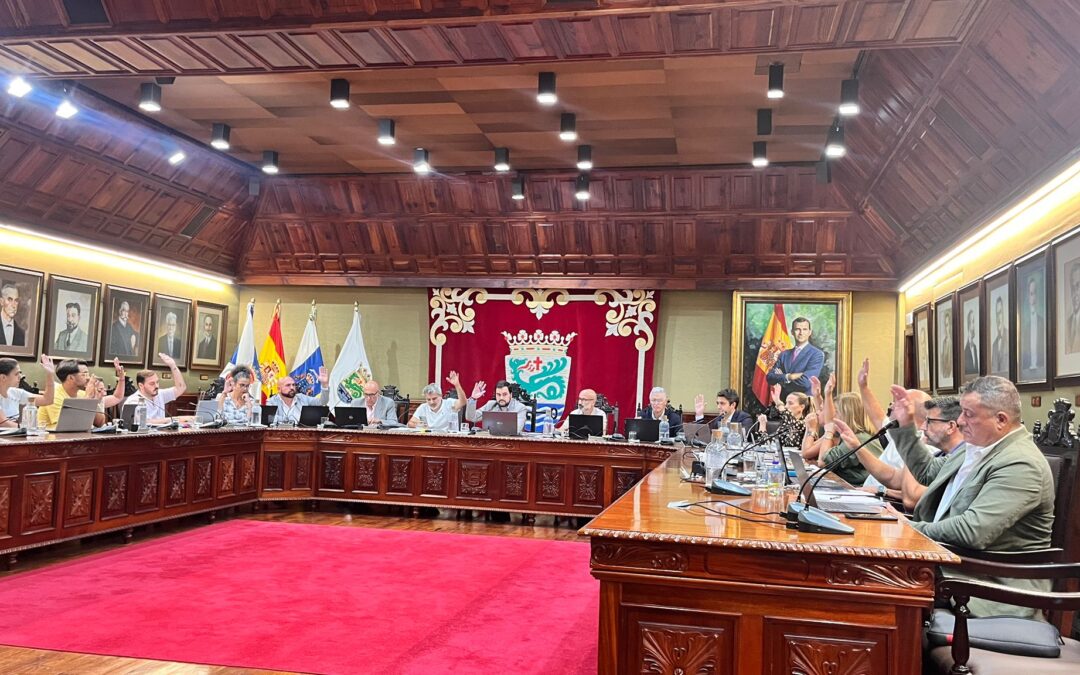 El Pleno aprueba por unanimidad la adhesión a la declaración institucional por el Día de la Eliminación de la Violencia contra la Mujer