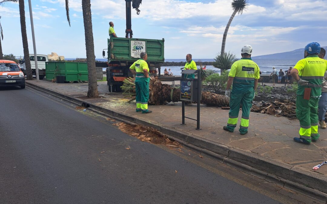 «Puerto de la Cruz hace frente al viento fuerte con eficiencia y colaboración ciudadana»