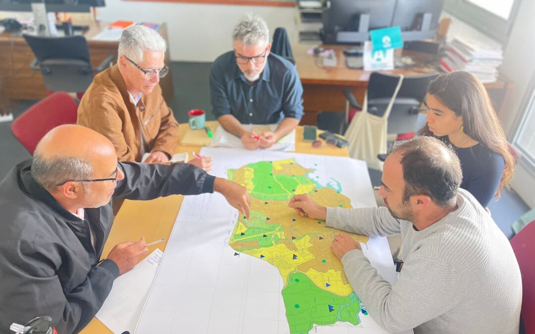 El Ayuntamiento elabora un plan de acción para erradicar el rabo de gato en el municipio