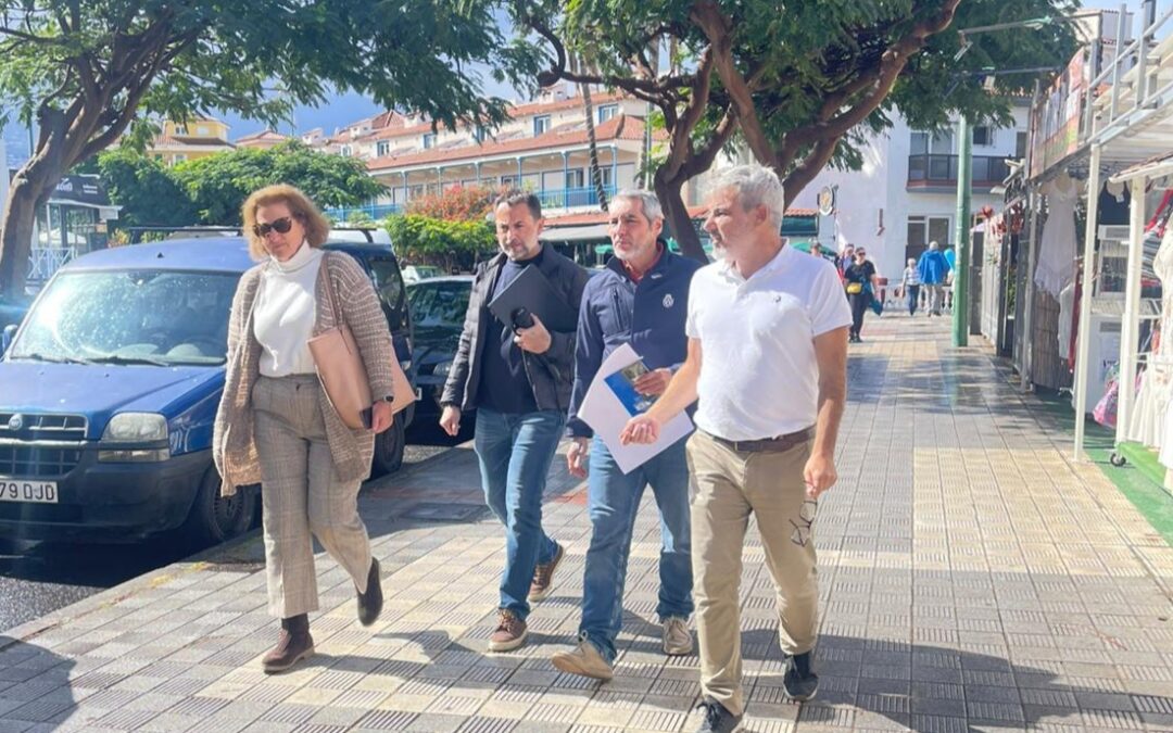 Puerto de la Cruz mantendrá el medio centenar de árboles en la reforma integral de la calle Aceviño