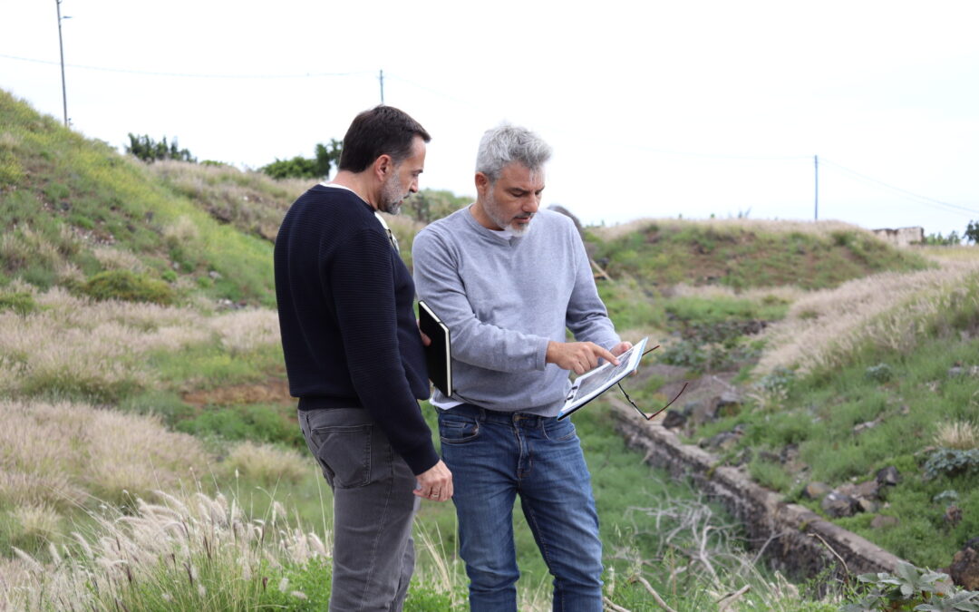 Puerto de la Cruz impulsa un nuevo gran parque en La Vera en un terreno en desuso de 5.379 metros