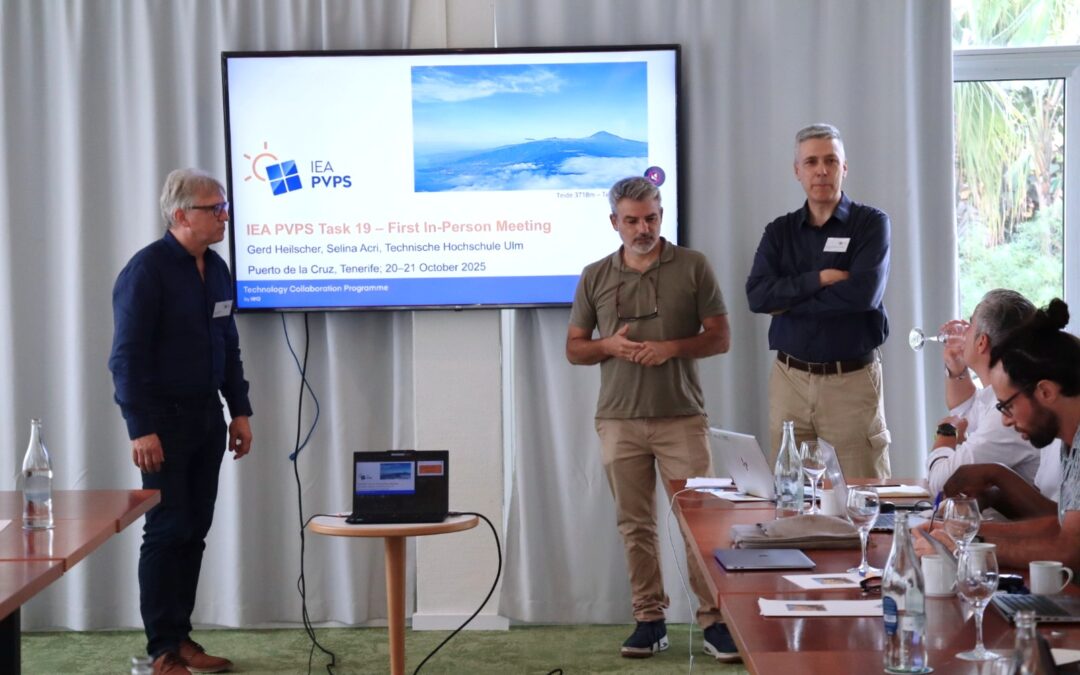 Más de 60 expertos internacionales eligen Puerto de la Cruz para impulsar la transición hacia la energía 100% solar