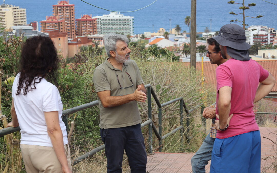 El Ayuntamiento interviene contra el rabo de gato en los institutos del municipio