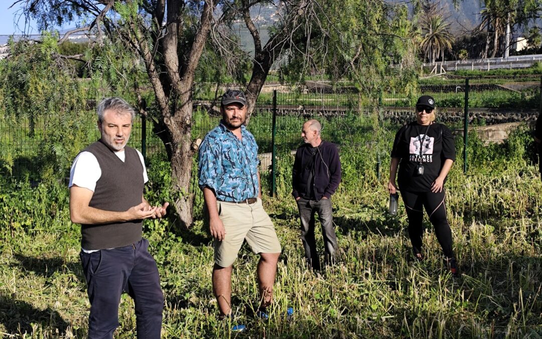 Puerto de la Cruz pone en marcha su huerto urbano comunitario con 30 participantes