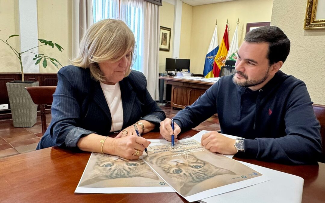 Puerto de la Cruz impulsa por primera vez un servicio municipal integral para la gestión de colonias felinas