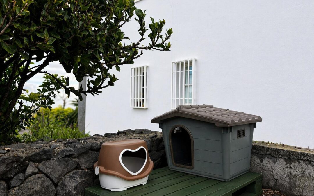 Puerto de la Cruz instala nuevas casetas para mejorar las condiciones de las colonias felinas del municipio