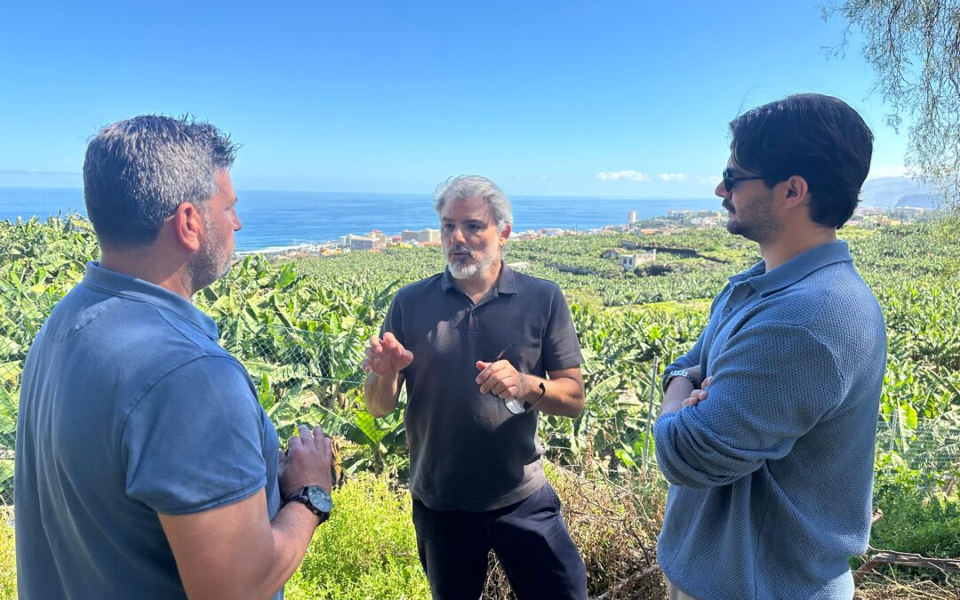 Puerto de la Cruz protege el suelo rústico frente a las infracciones graves