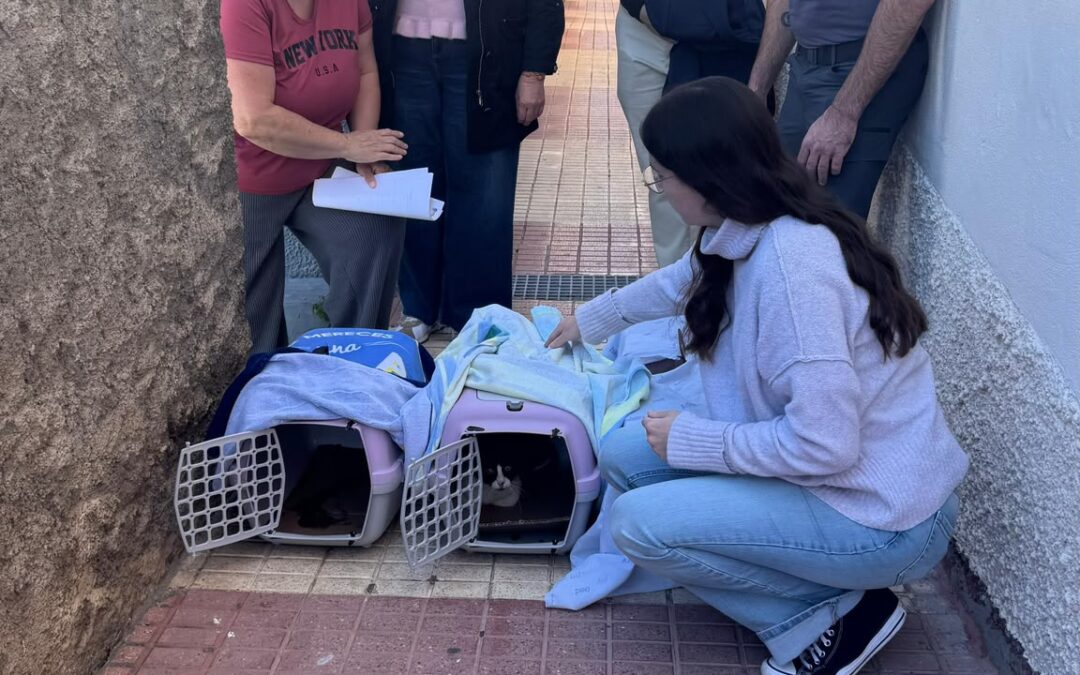 Puerto de la Cruz consolida su política municipal de bienestar y protección animal